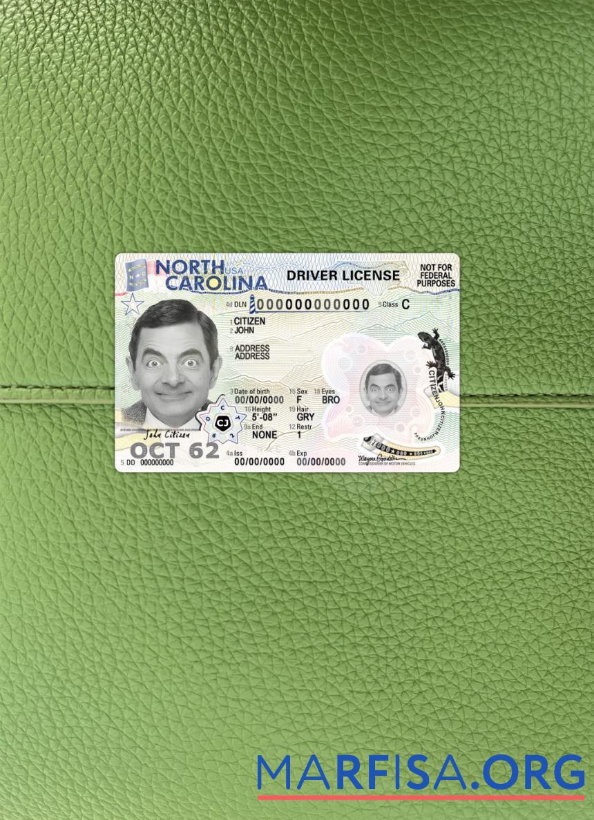 Realistic USA North Carolina driving license 2024 present photolook download for verification
